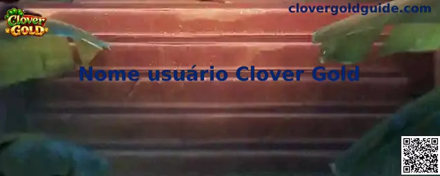 Nome usuário Clover Gold guía de acceso